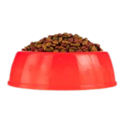 Plato Plasgar Grande y Chico